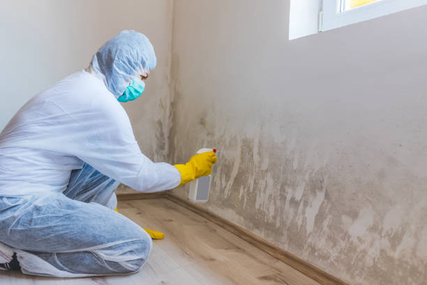 Licensed Mold Testing service in Salem, NC - WQB Mold Removal