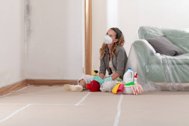 Reliable Mold Testing contractor in Salem, NC by WQB Mold Removal