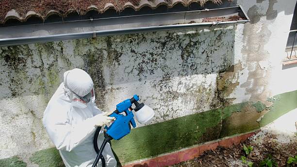 Top rated local Mold Testing specialists in Salem, NC